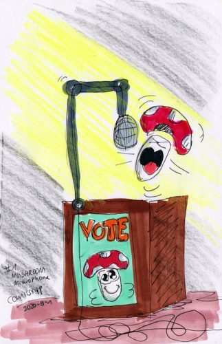 20200901-DW-mushroom-mikrophone