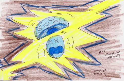 20200929-DW-mushroom-electricity